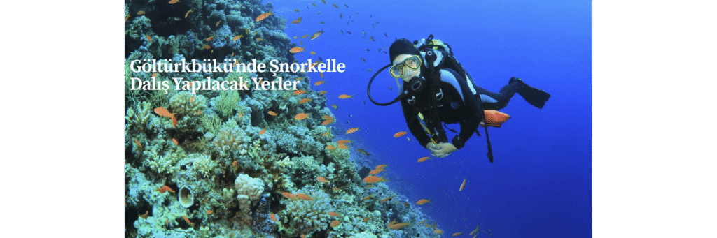 Göltürkbükü’nde Şnorkelle Dalış Yapılacak Yerler