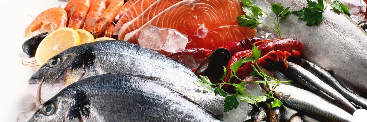 Göltürkbükü Balık Meze Rehberi