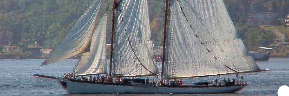 Göltürkbükü Yelken Kursları