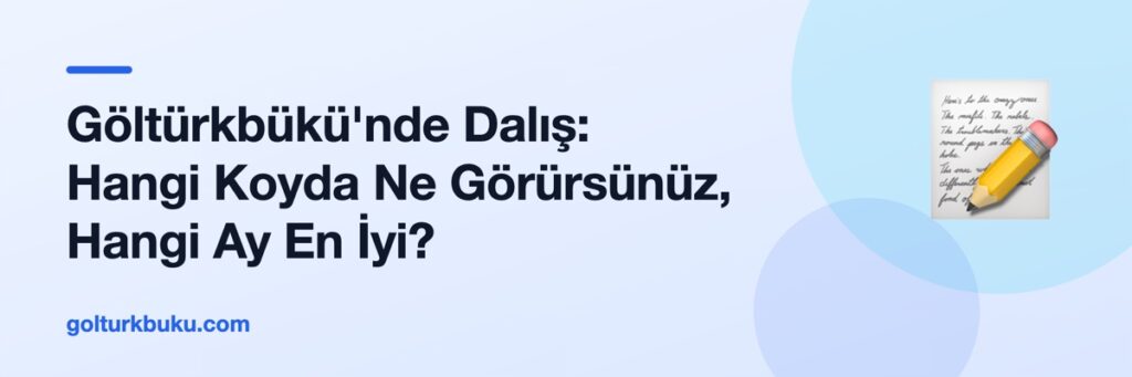 Göltürkbükü'nde Dalış: Hangi Koyda Ne Görürsünüz, Hangi Ay En İyi?